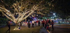 Gremios de la Comunicación celebran en grande Encendido Árbol de la Navidad