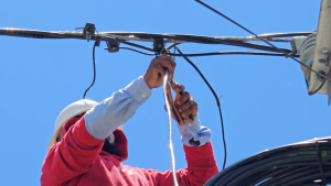 EDENORTE intensifica su lucha contra el fraude eléctrico en La Vega