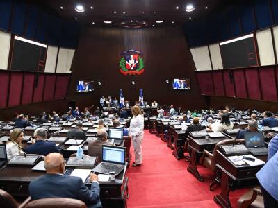 Diputados de la oposición hablan de titulares de Cámara de Cuentas